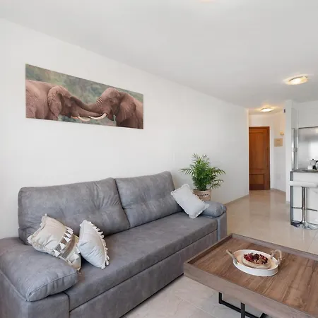 Rincon Tropical カンデラリア